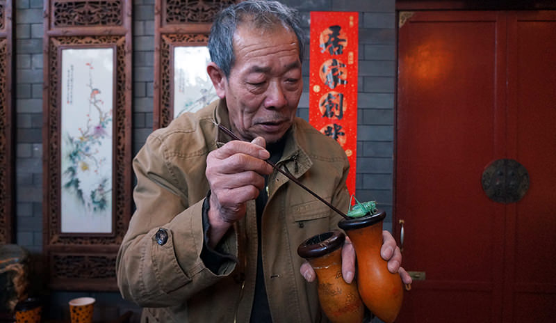 Close touch with the champion cricket