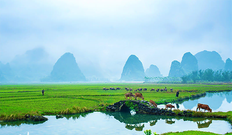 Chinese natural beauties