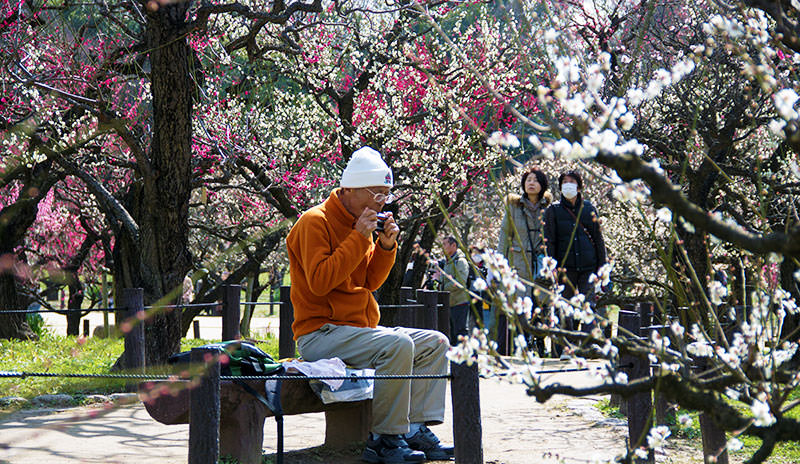 Osaka Castle in Japan