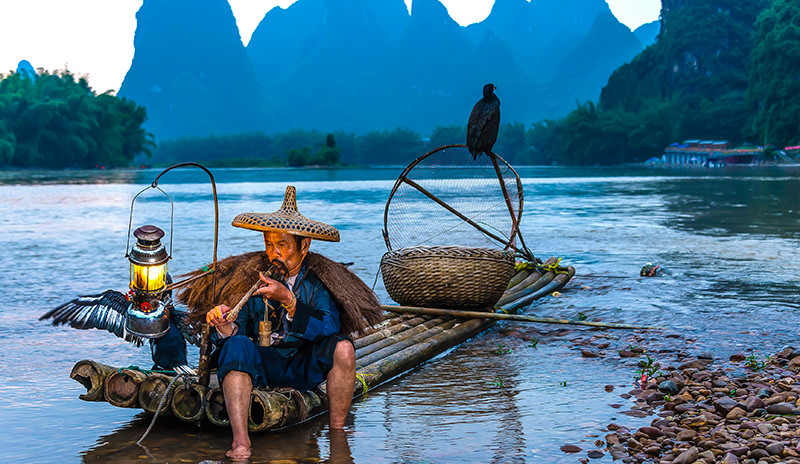 Li River Cormorant Fishing