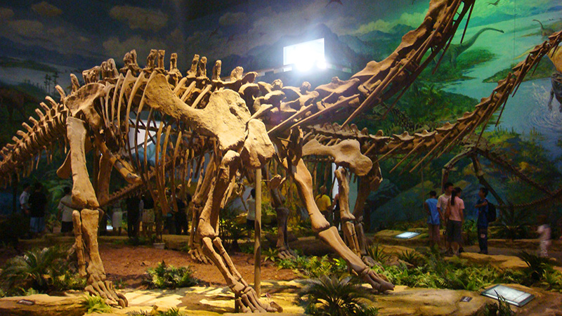 The Zigong Dinosaur Museum