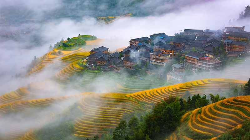 Longji Rice Terrace
