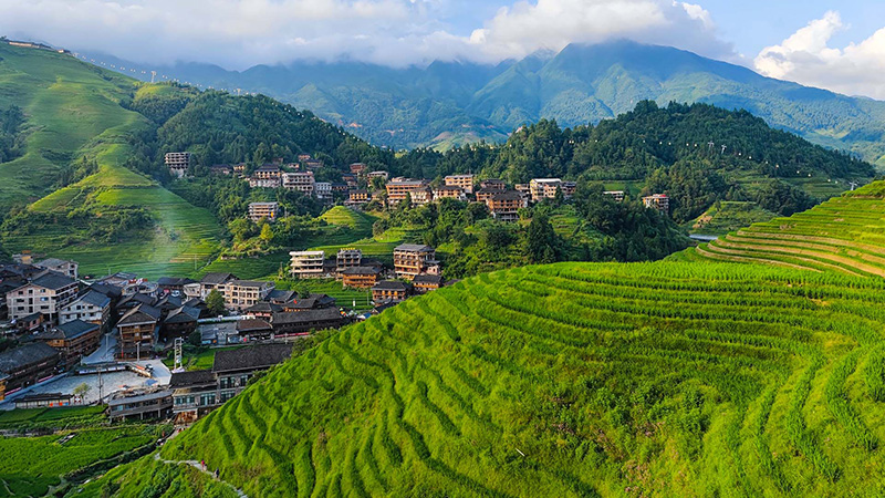 Longji Terraced Rice Fields, Guilin