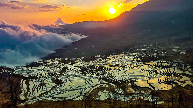 Spring View of Yuanyang Rice Terraces