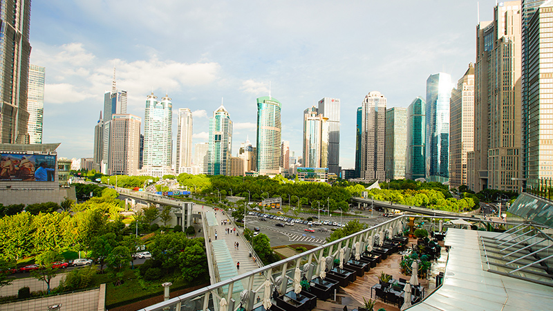 Shanghai City View