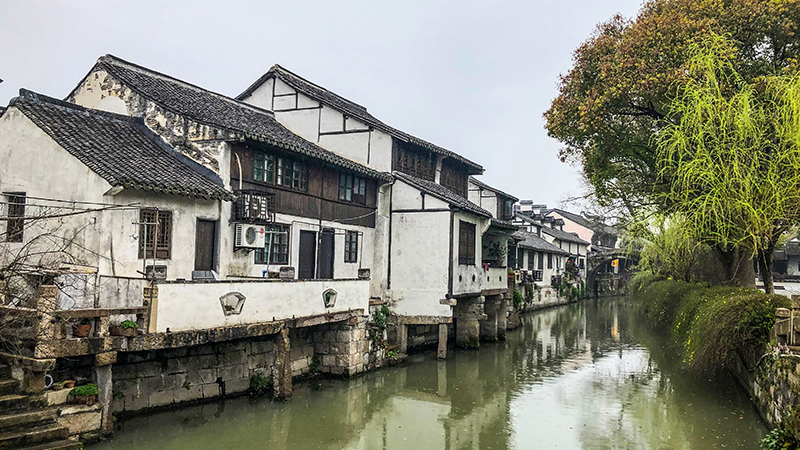 Admire the view of Zhujiajiao