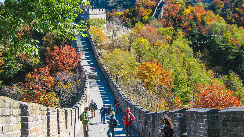 Autumn views of the Great Wall 