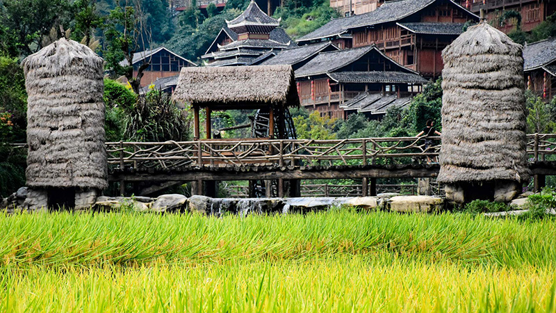 Zhaoxing Dong Village in Guizhou
