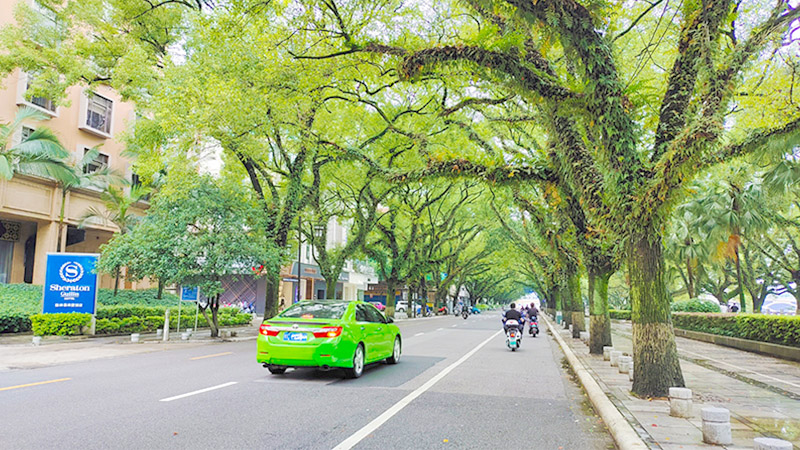 A car and e-bikes on a road in Guilin