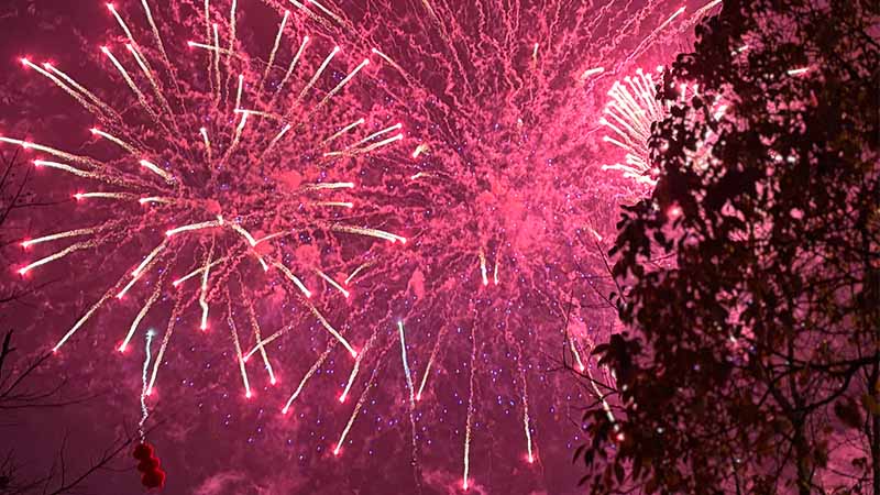 Fireworks in the Night Sky