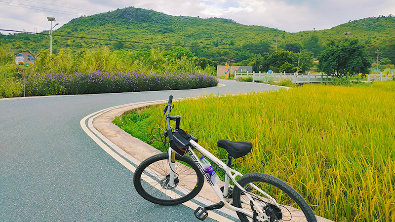 A cycling route along fields in Guilin