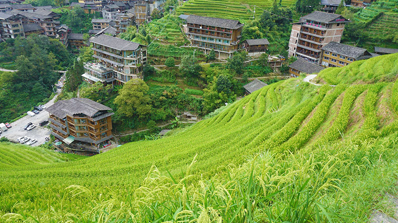 An ethnic village in Longji Rice Terraces site