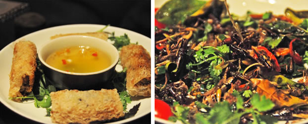 Cricket Spring Rolls and Grasshopper Salad