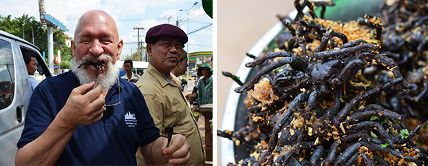 Tarantulas & scorpions