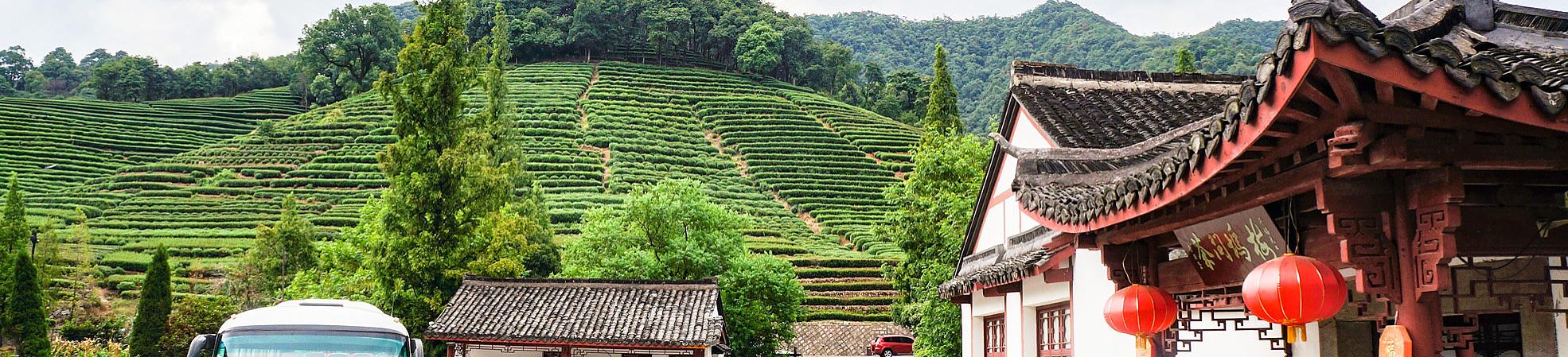 Longjing Tea Garden
