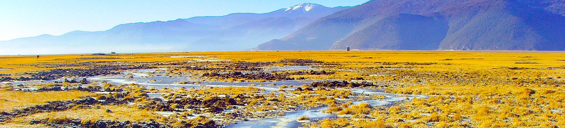 Shangri-La Travel Guide: Top Attractions & Best Times to Visit