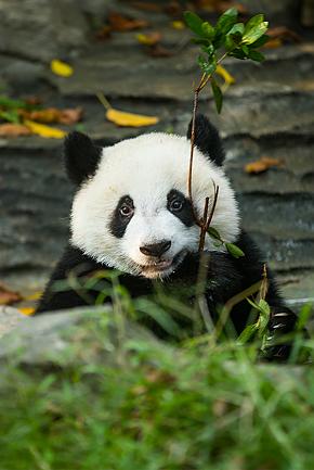 1st Time Travel China