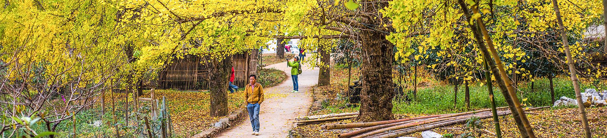 Travel China in Fall