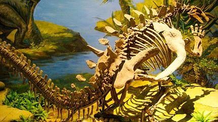 Dinosaur Museum, Zigong