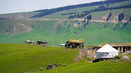 Kalajun Grassland, Tekes
