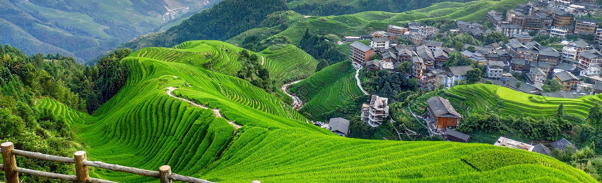 Longji Terraced Fields