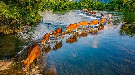 Yulong River, Yangshuo