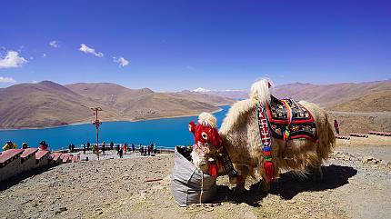 Yamdrok Lake