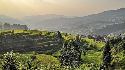 Tang'an Terraced Fields